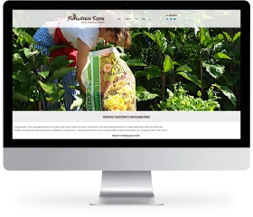 progettazione ecommerce, programmazione ecommerce